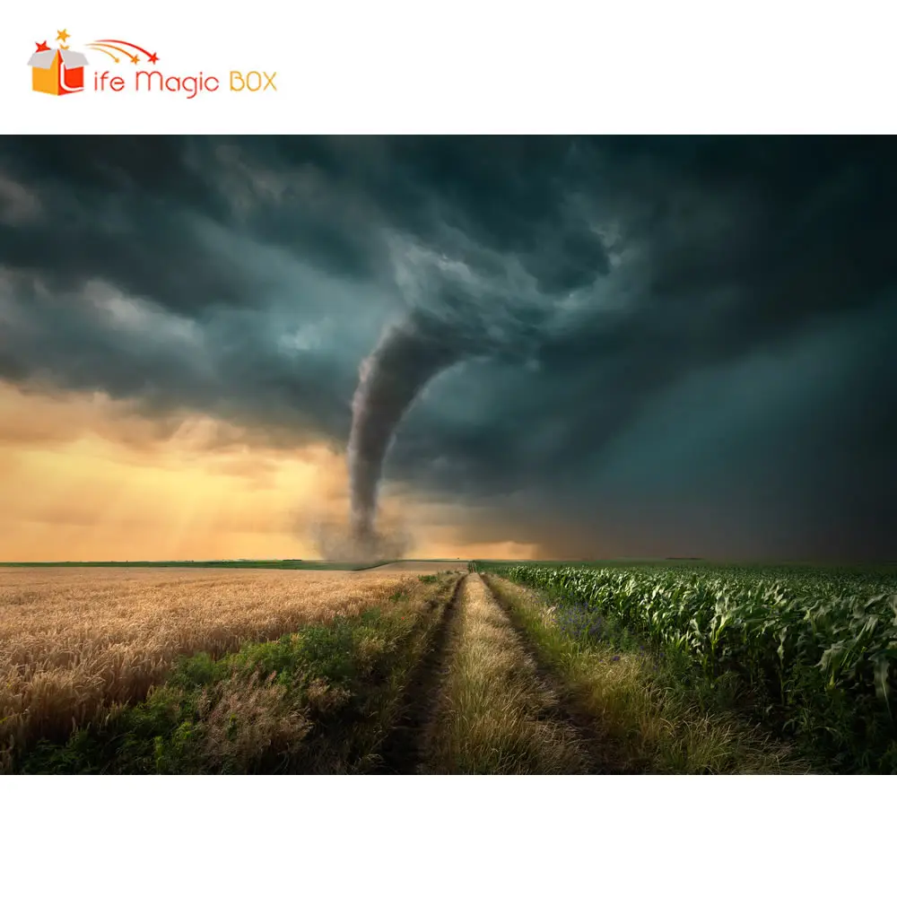 LIFE MAGIC BOX Tornado культиватор фоны для фотографии фото Виниловый фон фотобудка|Фон