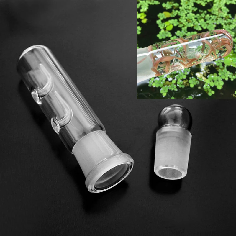 high quality glass planaria trap leech catcher for shrimp tank fish