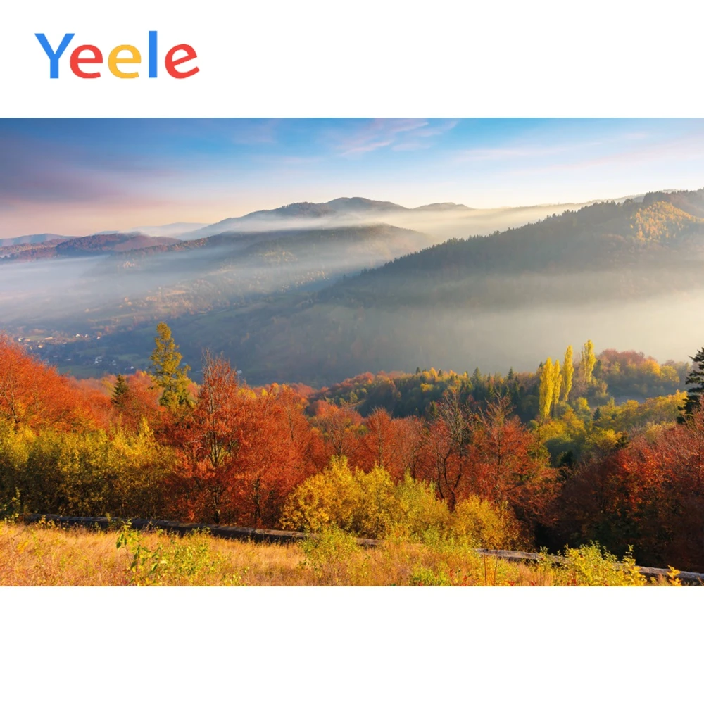 

Yeele Landscape Poster Wall Scene Baby Child Background Photography Seamless Photographic Backdrop Banner Props For Photo Studio