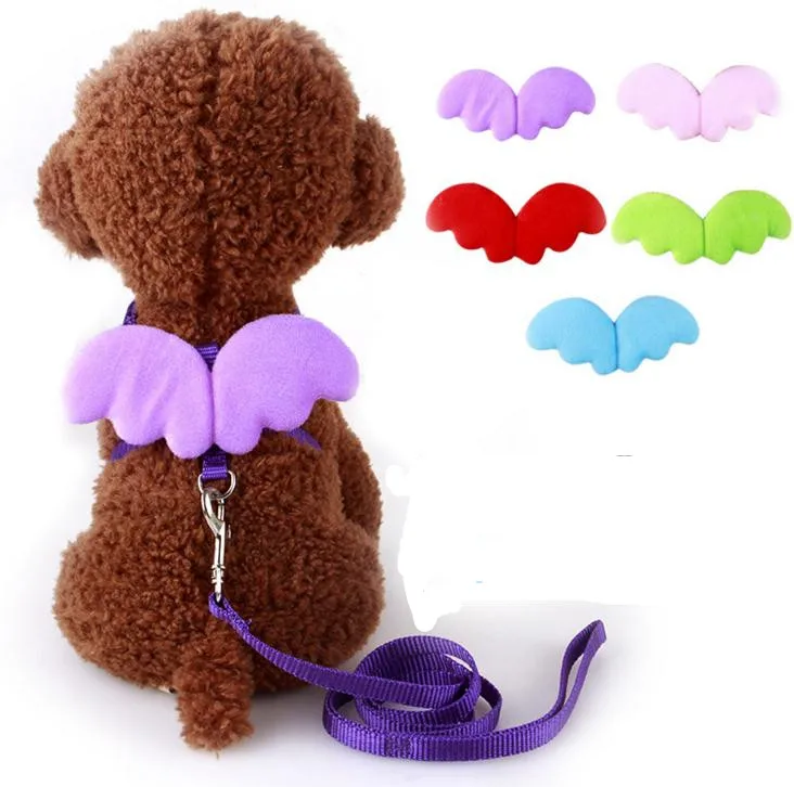 Cute Leashes For Small Dogs Cute Leashes For Small Dogs