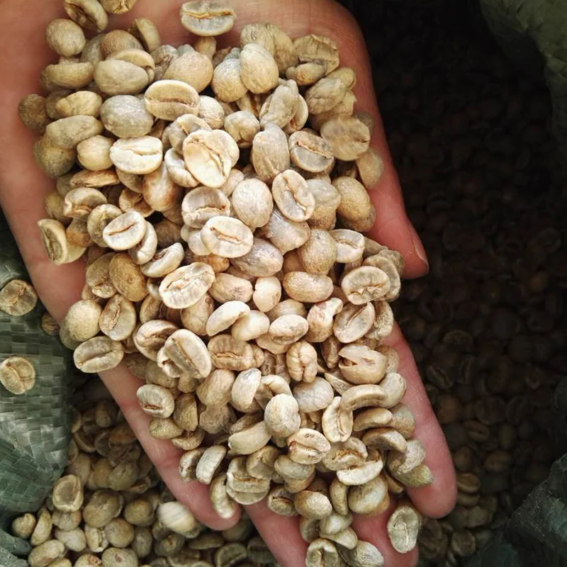 Top Grade Yunnan Arabica Raw Coffee Beans 1000g Green Coffee Beans