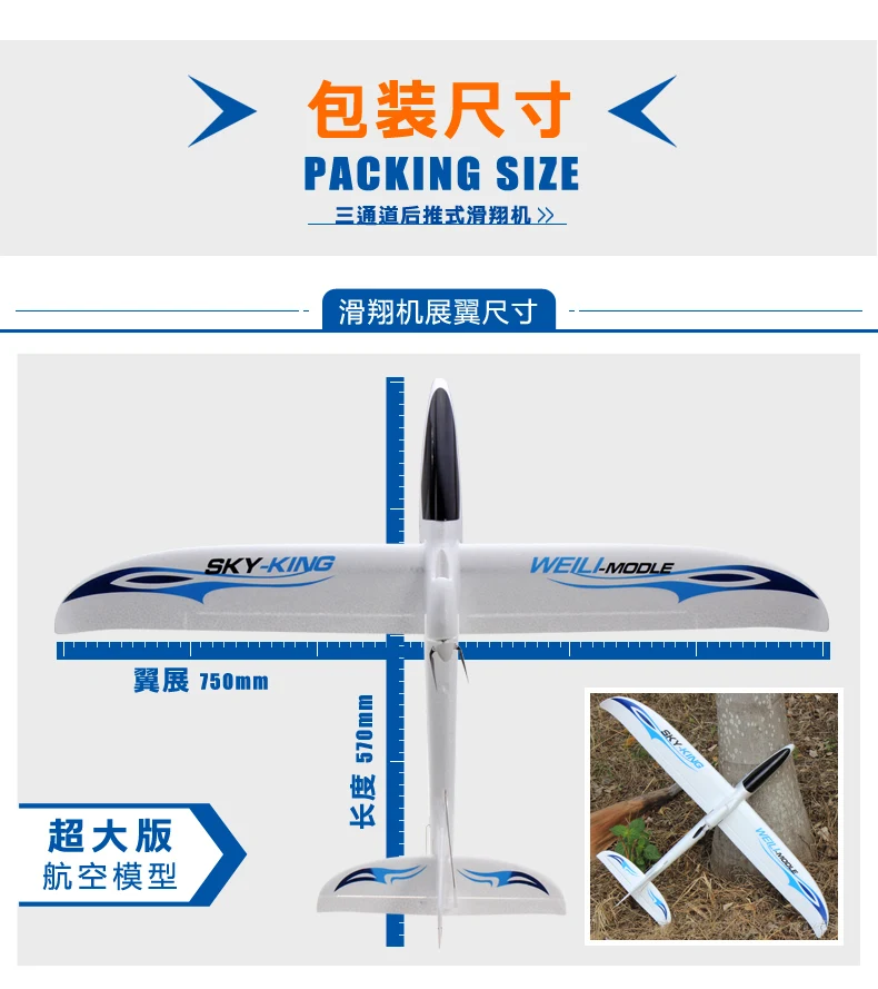 Wltoys F959 Sky короля 3CH RC самолет с неподвижным крыла самолета RTF электрический