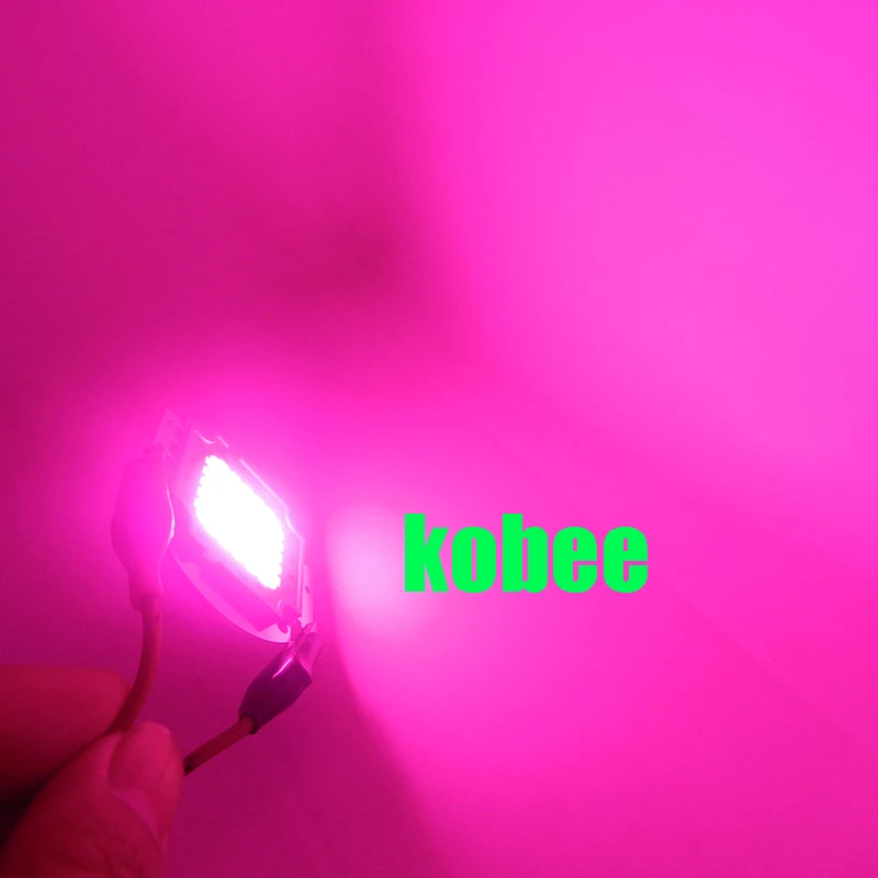 HTB1wOFbPpXXXXawXFXXq6xXFXXXj