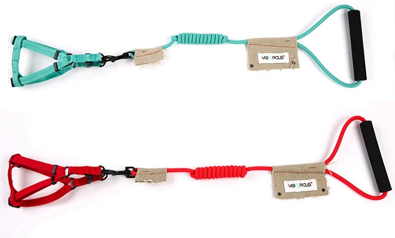Pet Dog Leash Harness Set For Small Large Dogs Cats Puppy Nylon Dog Leashes Lead Rope Leash Harness For Dogs Cat Training YS0024 (6)