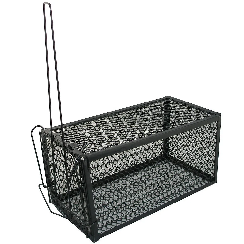 Aliexpress.com : Buy Rat Catcher Spring Cage New 1 Pieces Trap Outdoor
