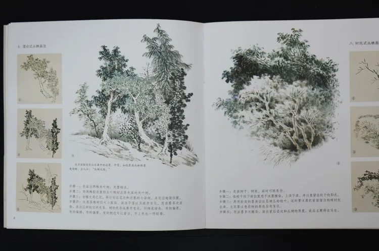 Коллекция живописи китайской живописи породы лес шаги рисования сосна