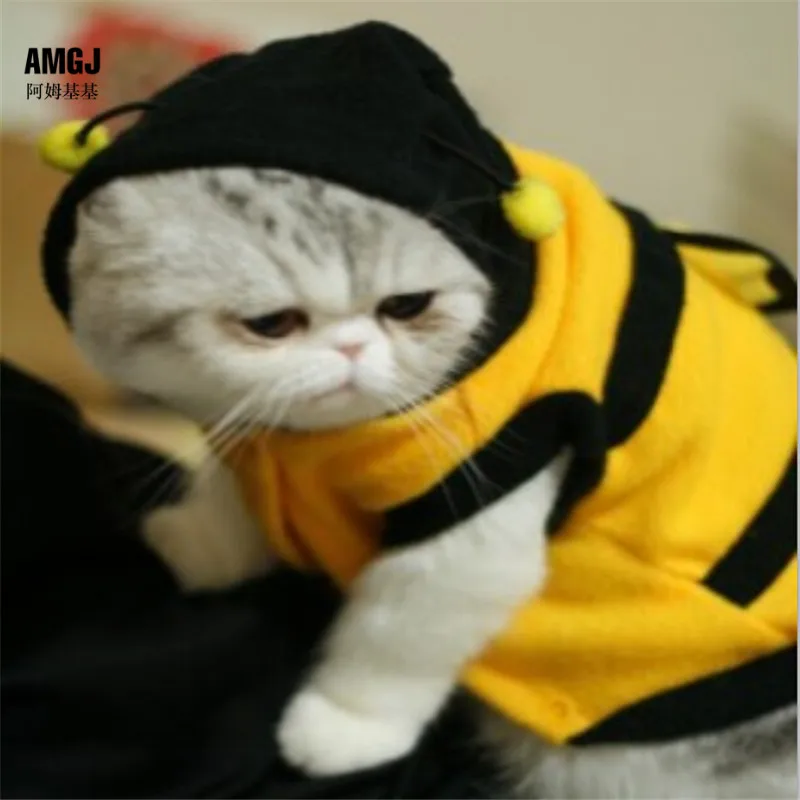 Pet Dog Cat Bumble Bee Wings Fleece Hoody Coat Costume