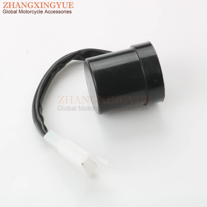 zhang81