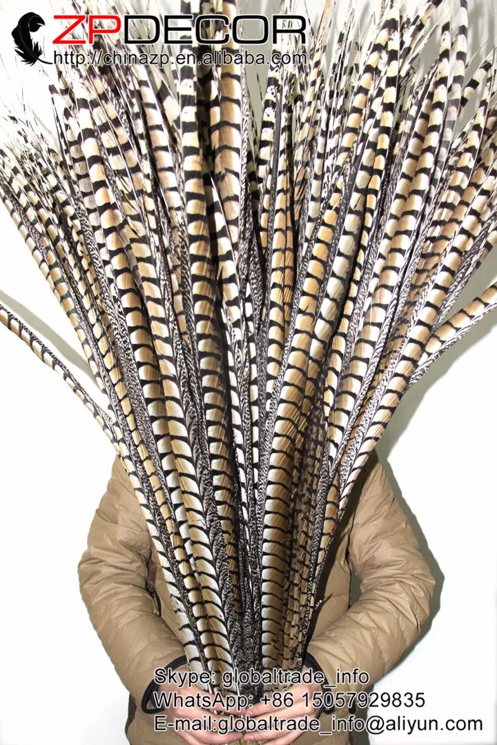Zpdecor; большие размеры 40-44 дюйма(100-110 см) 50 шт./лот супер длинный натуральный Алмазный фазан перья из хвоста фазана для карнавальный головной убор Декор