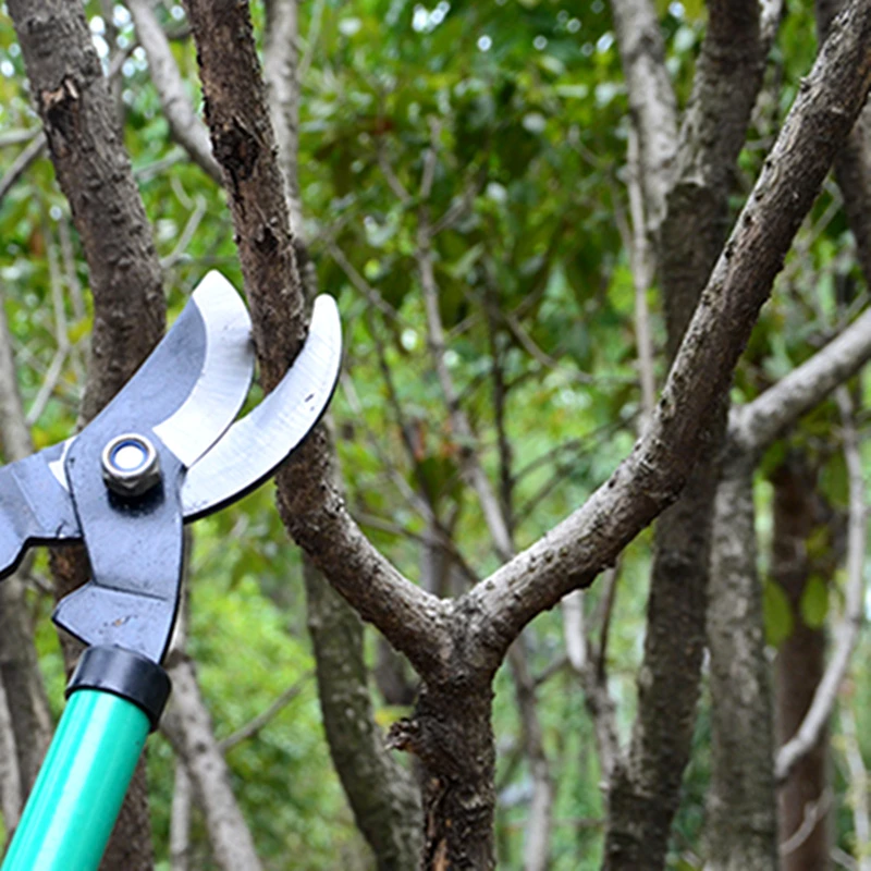 60cm Telescopic Pruner Gardening Tree Shears Pruning Lopping 3cm Dia