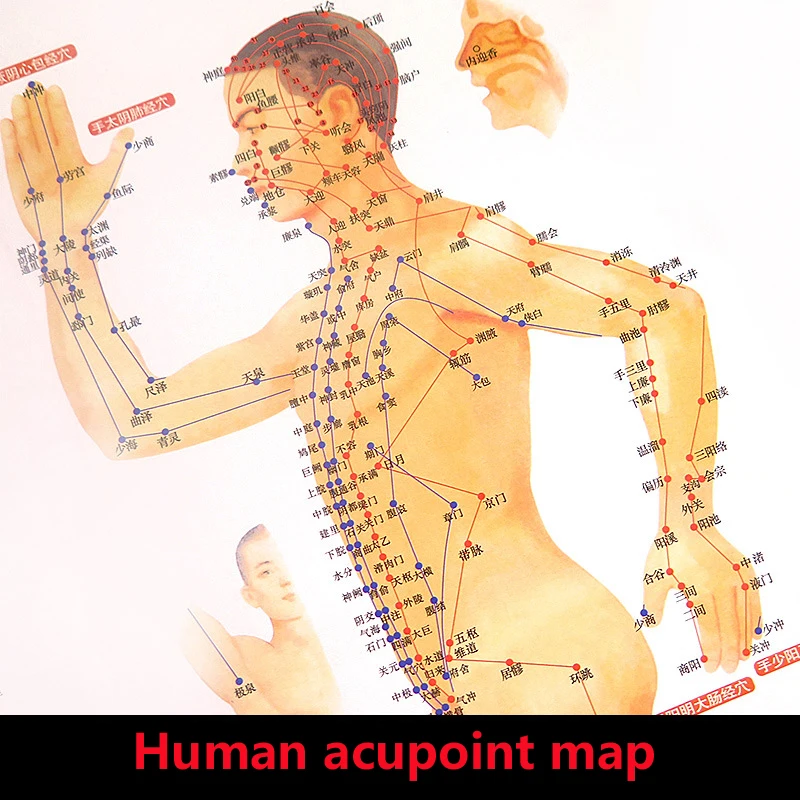 Standard Meridian Acupuncture Points Chart and ZhenJiu Moxibustion Acupoint Massage Chart for Head Hand Foot Body Health Care Standard Meridian Acupuncture Points Chart and ZhenJiu Moxibustion Acupoint Massage Chart for Head Hand Foot Body Health Care