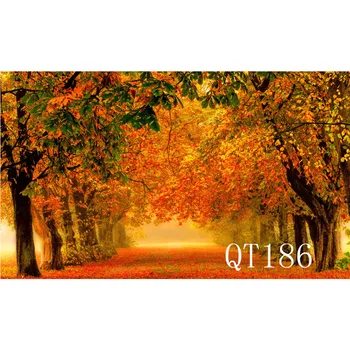 

LB Polyester & Vinyl Backdrops Background For Photography Studio Backdrop Photo Props Autumn Deciduous Forest Path Decoration