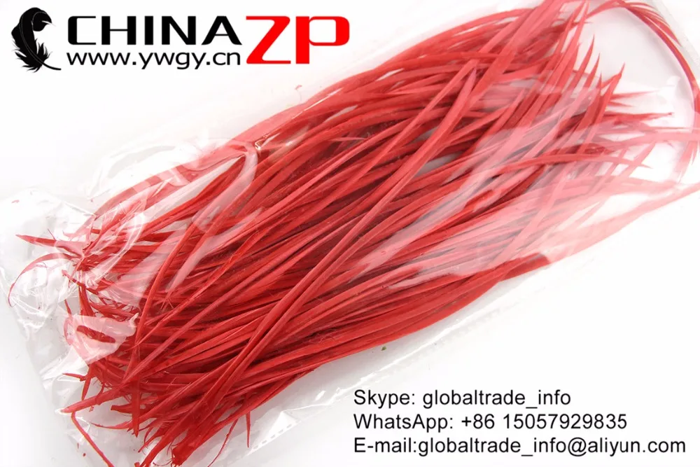 Chinazp Feathers Розничная торговля Размер 20 ~ 25 см (8 10 дюймов) 100 шт./лот экспорт хорошее