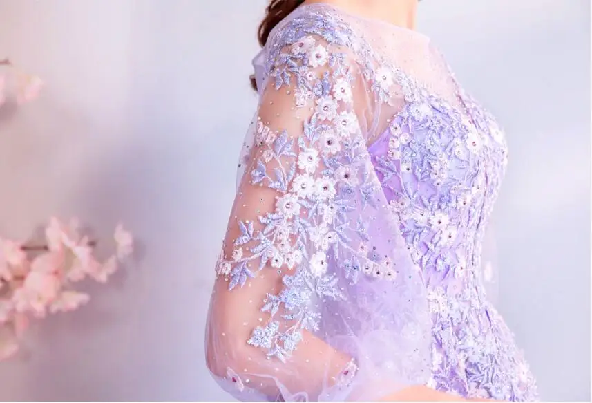 Flower fairy illusion evening dress long embroidery full sleeves Prom gown Junior girls birthday party dress vestido de festa Flower fairy illusion evening dress long embroidery full sleeves Prom gown Junior girls birthday party dress vestido de festa