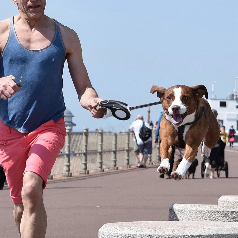 retractable dog leash
