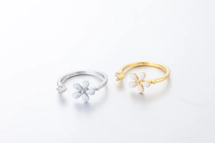 8162583026_1039125567