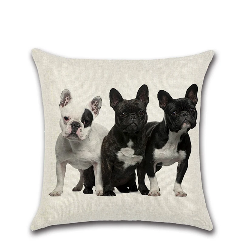 cushion cover, cushion case (6)