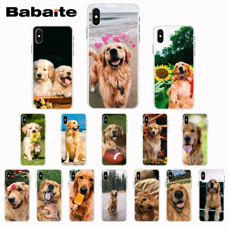 Супермилый чехол для телефона Babaite с золотистым ретривером iPhone X Xs Xr XsMax 6 6s Plus 7 7plus 8
