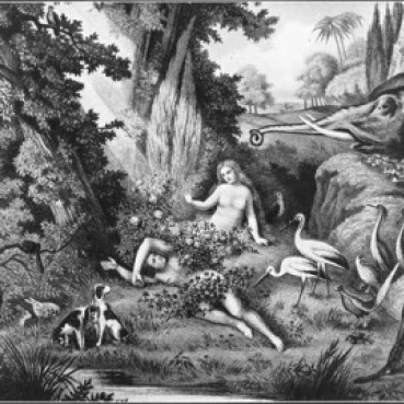 The Created  Johann Elias Ridinger (1698-1767/German)  Engraving Poster Print (18 x 24)