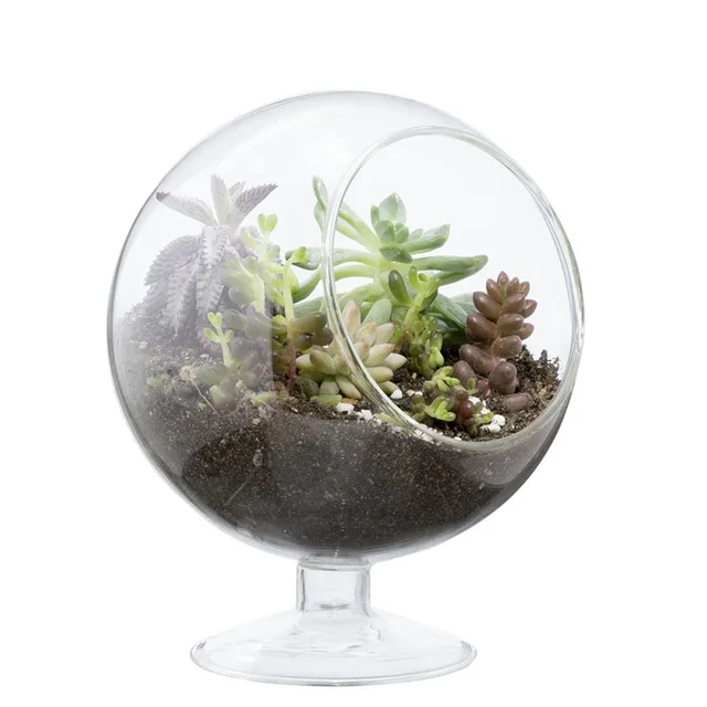 Mkono Clear Glass Vase Air Plant Terrarium Airplants Succulent Plant Planter Garden Indoor Micro Landscape Greenhouse, Footed