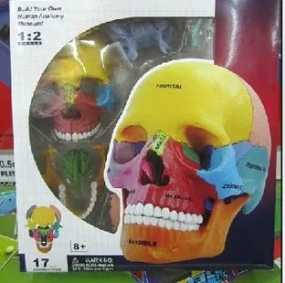 TB1ZE3zFFXXXXahaXXXXXXXXXXX_!!0-item_pic.jpg_400x400