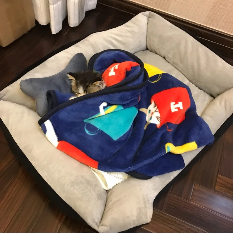 100x75 см Мультфильм Pet Cat одеяло s кошка кровать коврики дом коралловый Флисовое одеяло для животных для домашних животных, дети, Кондиционер
