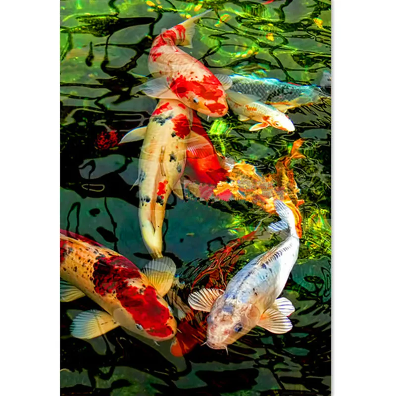 5d алмазная Картина Koi Fish grapher DIY 3D Алмазная вышивка распродажа полная