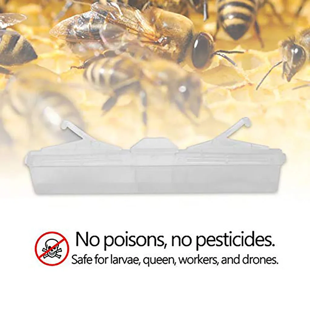 Wax-moth Larvae Nest Insect Killer Trap Beetle Insect Simple Plastic Traps Fly Killer mosquito trap para cemento suelo New