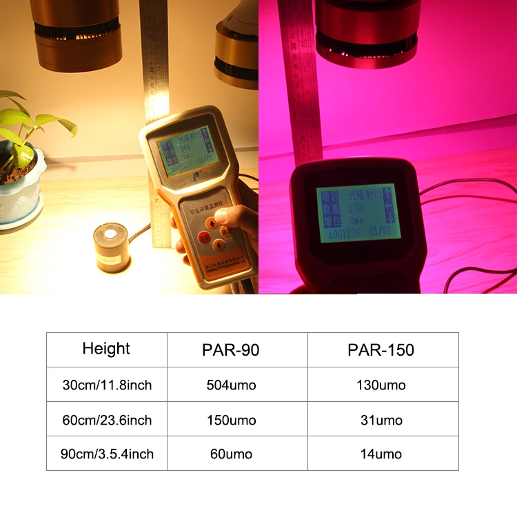 PAR90-B_02