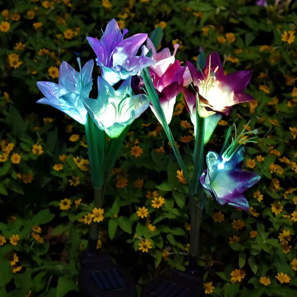 DJ1414900-C-20190520-1