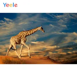 Yeele виниловый Жираф небо пустыня Дети День Рождения фотография фон животные ребенок фотографический фон фотостудия