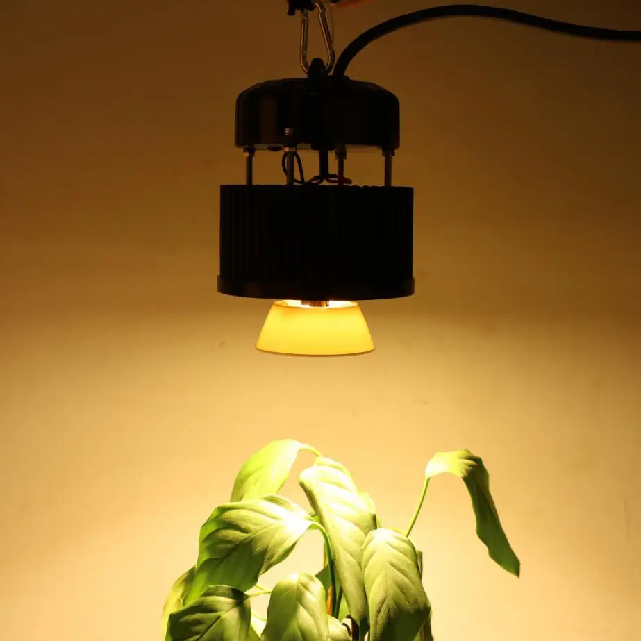 

CREE CXB3590 COB LED Grow Light full spectrum 3000K/3500K/5000K/6500K Meanwell Driver HBG-60-1400 with Reflector