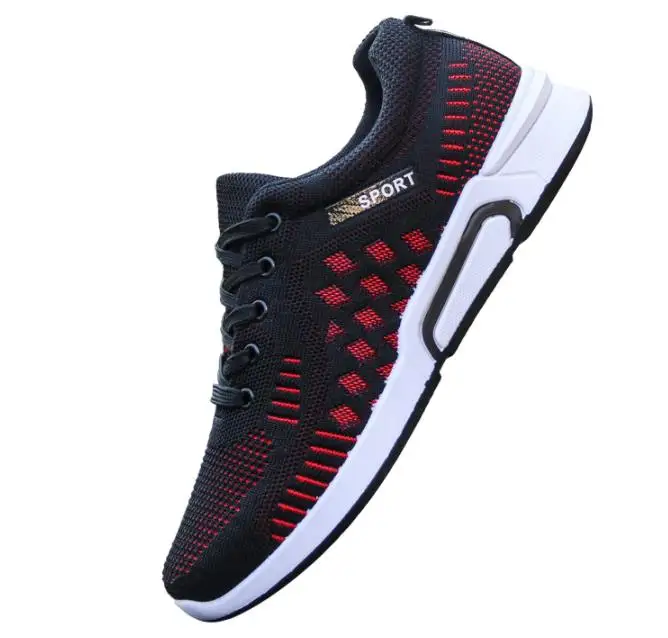 36020190223093620417