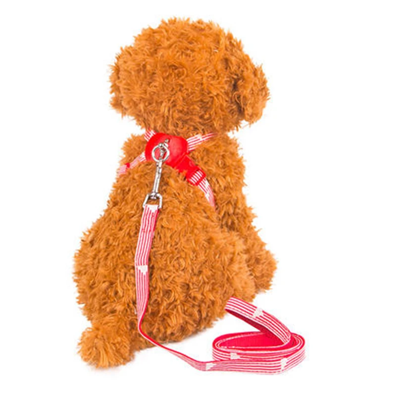 puppy collar set (1)