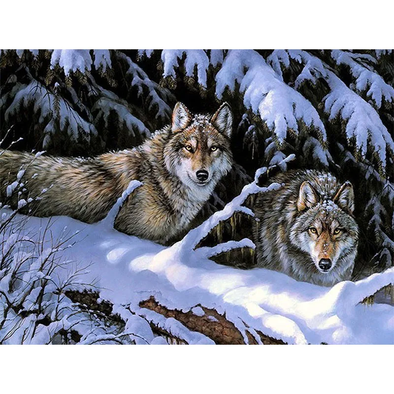 

Two Wolves Picture Painting By Numbers Home Decor DIY Digital Canvas Oil Painting Home Decoration 40*50cm Picture