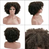 Lace Wigs