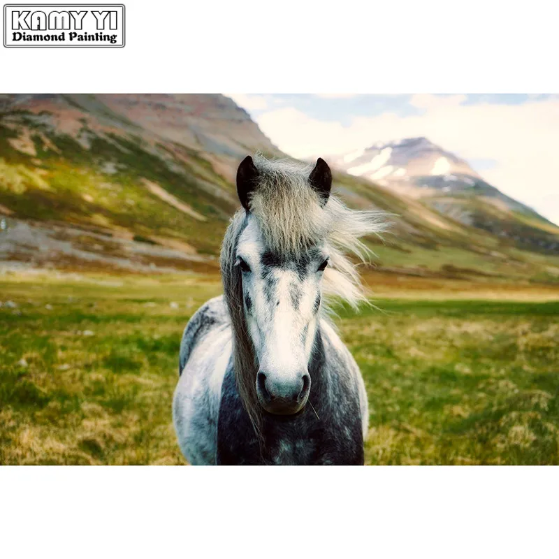 

Icelandic horse Diamond Painting 5d Diy Diamond Painting Square&Round Drill Diamond Painting Diamond Mosaic LWR