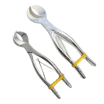 

1PC Dental Gypsum scissors plaster shears Big Gypsum shear plaster scissors dental equipment materials super hard Lab Tool