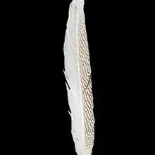 50 шт./лот 12-1" 30-35 см Красивые хвостовые перья из Серебряный фазан