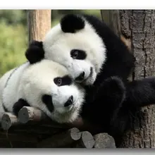 Aolysia коврики Стандартный-магазине Пользовательские Смешные и сладкий панды коврик Ванная комната коврики коврик ковры