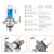 VooVoo Car Light H4 H7 Auto Галогенные Лампы Лампы Противотуманные Фары 100 Вт 2700 К 4300 К 6000 К 12 В Motercycle Автомобильная галогенная Лампа Ампула Voiture