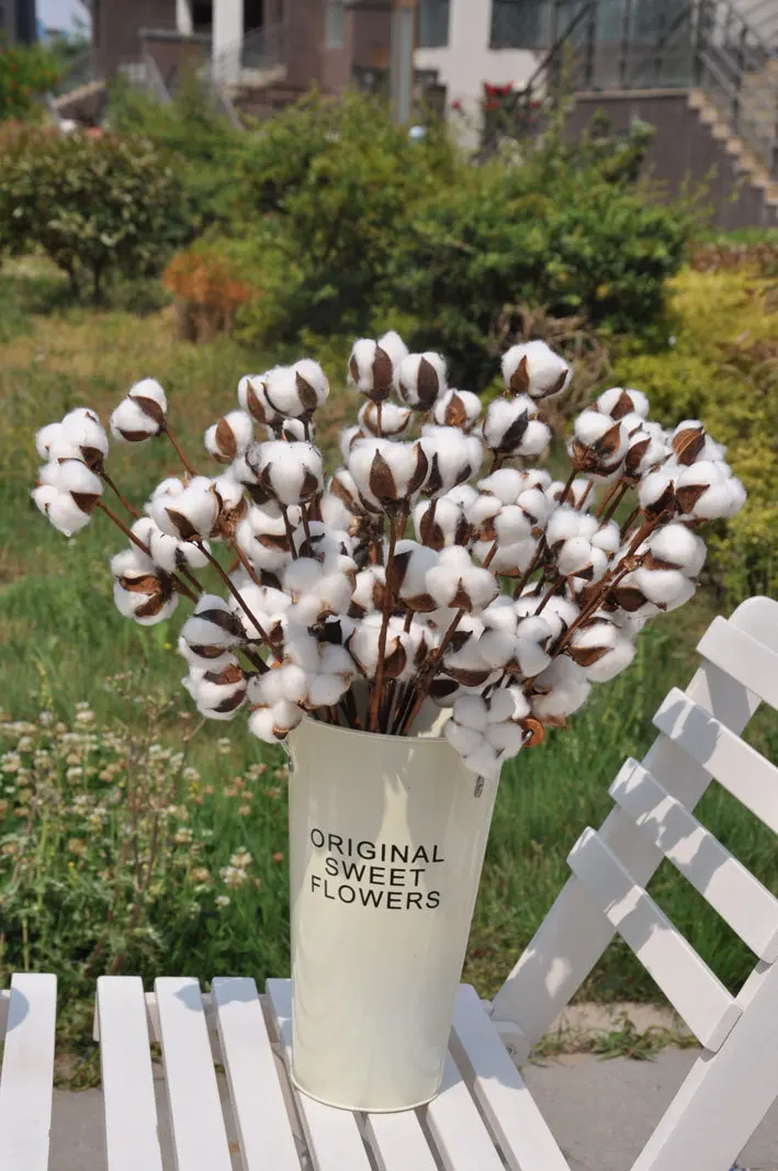 

mylb new cotton 3head 1head Home decoration eternal flower wedding decoration European Rural pastoral natural dried flowers