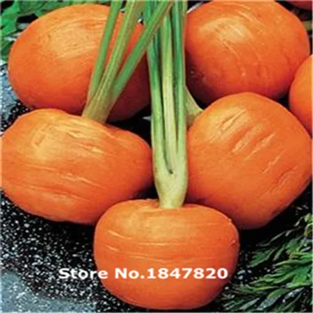 Семена Овощей Без Гмо Купить