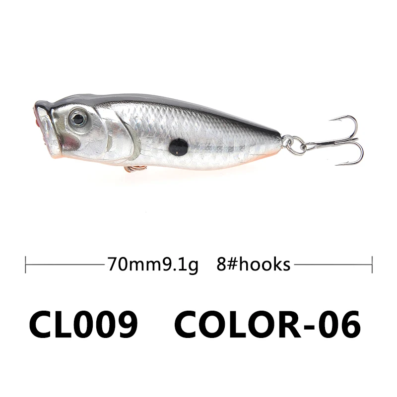CL009-06