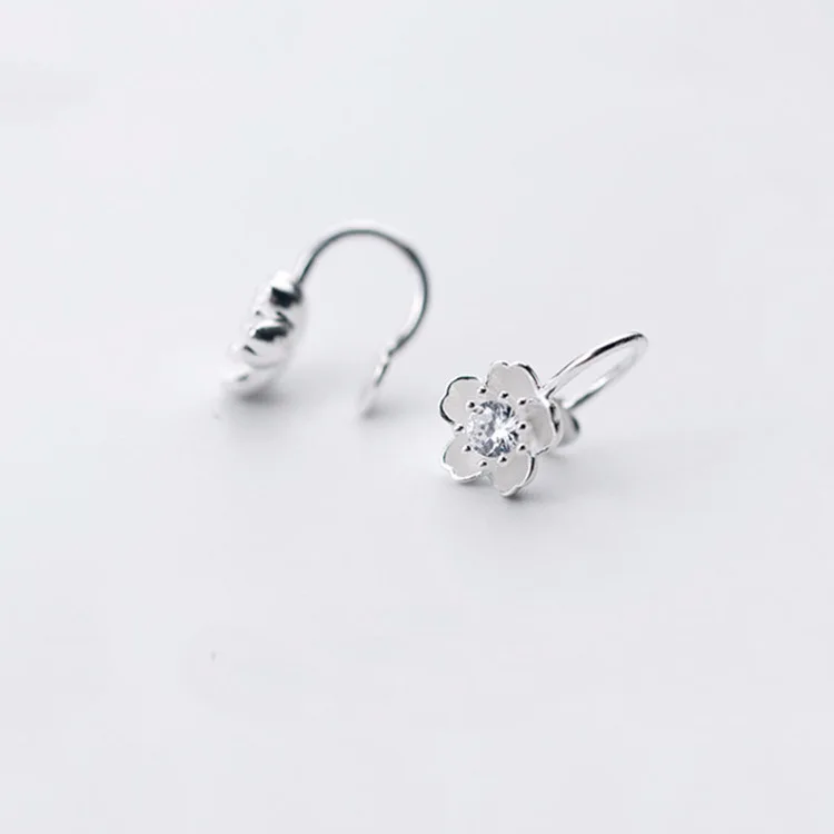 8304197631_823318017