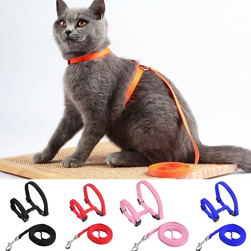 Pet Cat Harness & Leash Verstelbare Kat Harnas Breakaway Nylon Band