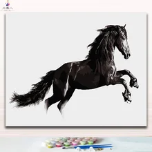 А Бег черный большой конь картинки Картины цветов краски по номерам на холсте с комплекты посылка для взрослых приспособления для снятия стресса