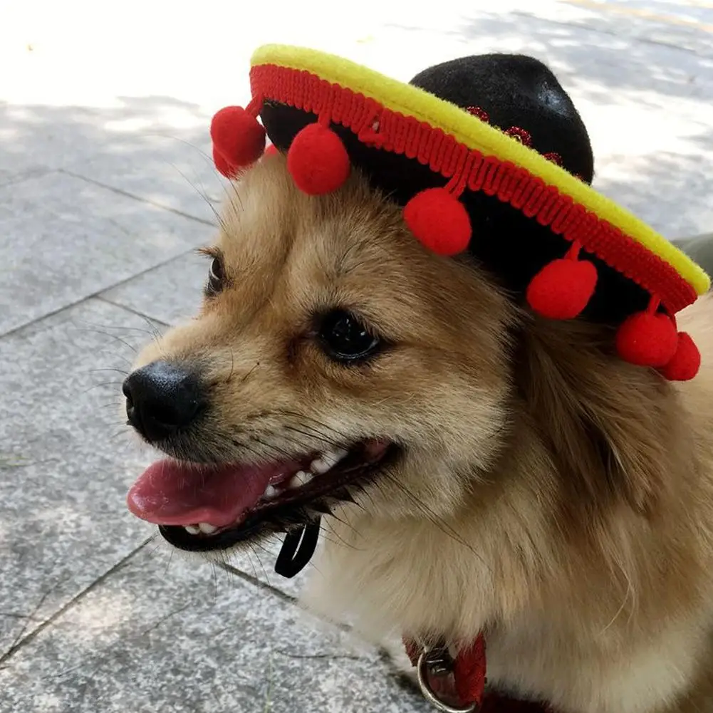 Hat Multicolor Dog Cat Mexican Hat Pet Useful And Practical Multi Use For Dog Halloween Costume Christmas Present