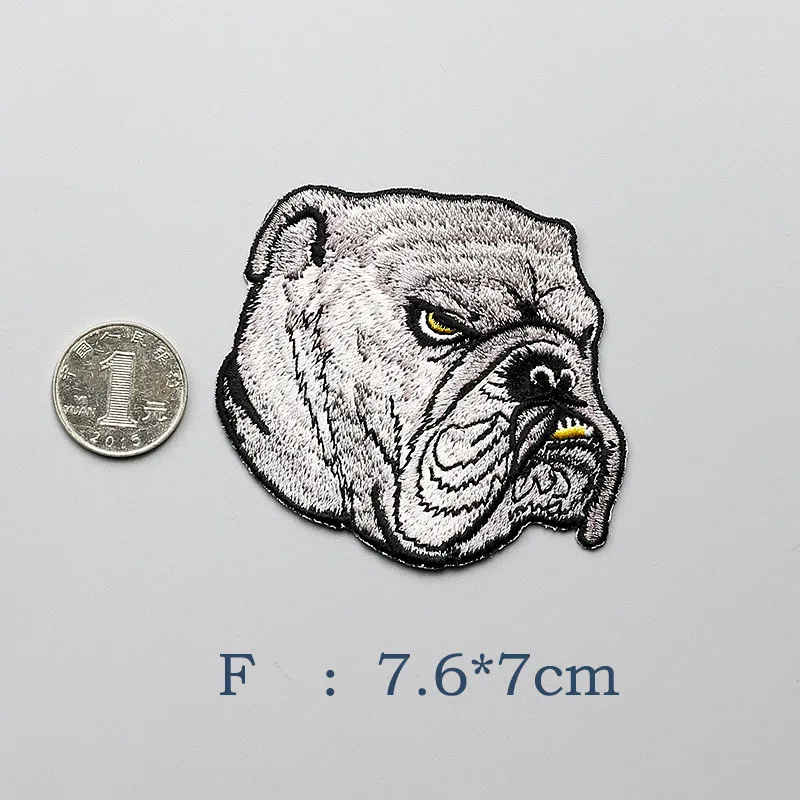 dog3