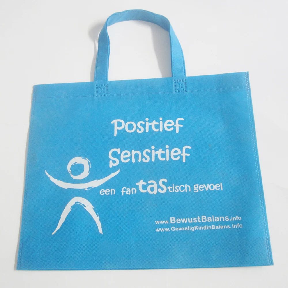 Discount 500pcs/lot sky blue non woven  shopping bag hot sealed with handle for christmas decorations 1